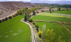 Malatya fayının deprem olasılığı az