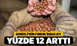 Denizli’nin Fındık İhracatı Yüzde 12 Arttı