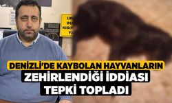 Denizli'de Kaybolan Hayvanların Zehirlendiği İddiası Tepki Topladı