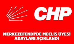 Denizli'de CHP Merkezefendi Meclis Üyesi Adaylarını Açıkladı