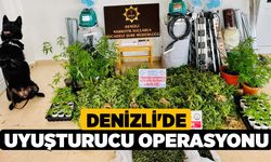 Denizli'de Bozkurt'ta Uyuşturucu Operasyonu