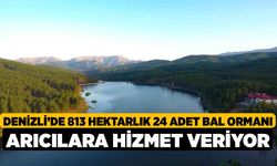 Denizli’de 813 hektarlık 24 adet bal ormanı arıcılara hizmet veriyor