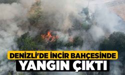 Denizli'de İncir Bahçesinde Yangın Çıktı