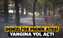 Denizli'de piknik ateşi yangına yol açtı