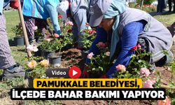 Pamukkale Belediyesi, İlçede Bahar Bakımı Yapıyor