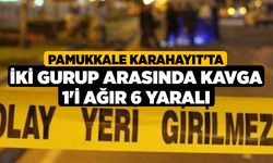 Pamukkale Karahayıt'ta İki Gurup Arasında Kavga 1'i Ağır 6 Yaralı