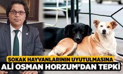 Sokak Hayvanlarının Uyutulmasına Ali Osman Horzum’dan Tepki