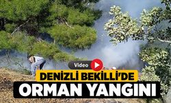 Denizli Bekilli'de Orman Yangını