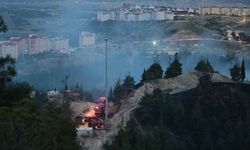 Denizli Büyükşehir yangına 2 ayrı noktada müdahale etti