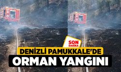 Denizli Pamukkale'de Orman Yangını