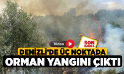 Denizli’de üç noktada orman yangını çıktı