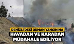 Denizli'deki orman yangınına havadan ve karadan müdahale ediliyor