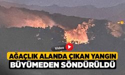 Ağaçlık alanda çıkan yangın büyümeden söndürüldü