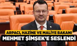 Arpacı, Hazine ve Maliye Bakanı Mehmet Şimşek’e seslendi