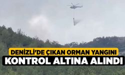 Denizli'de çıkan orman yangını kontrol altına alındı