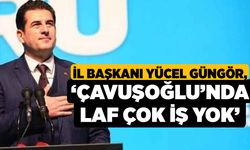 İl Başkanı Yücel Güngör, ‘Çavuşoğlu’nda laf çok iş yok’