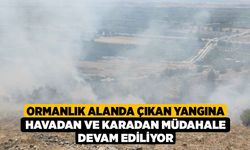 Ormanlık Alanda Çıkan Yangına Havadan ve Karadan Müdahale Devam Ediliyor