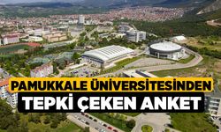 Pamukkale Üniversitesinden tepki çeken anket