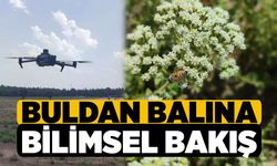 Buldan balına bilimsel bakış