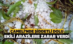 Çameli’nde şiddetli dolu ekili arazilere zarar verdi