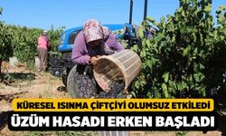 Denizli'de Sıcaklıktan Dolayı Üzüm Hasadı Erken Başladı