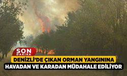 Denizli’de Çıkan Orman Yangınına Havadan ve Karadan Müdahale Ediliyor