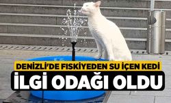 Denizli'de Fıskiyeden Su İçen Kedi İlgi Odağı Oldu