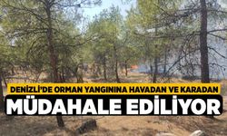 Denizli’de orman yangınına havadan ve karadan müdahale ediliyor