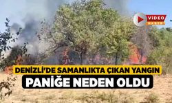 Denizli'de Samanlıkta Çıkan Yangın Paniğe Neden Oldu