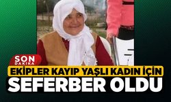 Ekipler kayıp yaşlı kadın için seferber oldu