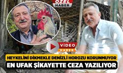 Heykelini Dikmekle Denizli Horozu Korunmuyor, En Ufak Şikayette Ceza Yazılıyor