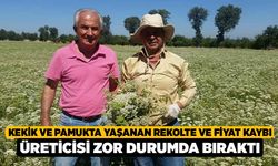 Kekik ve pamukta yaşanan rekolte ve fiyat kaybı üreticisi zor durumda bıraktı