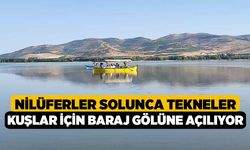 Nilüferler solunca tekneler kuşlar için baraj gölüne açılıyor