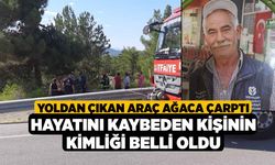 Yoldan Çıkan Araç Ağaca Çarptı, Hayatını Kaybeden Kişinin Kimliği Belli Oldu