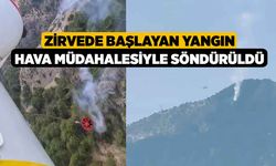 Zirvede başlayan yangın hava müdahalesiyle söndürüldü