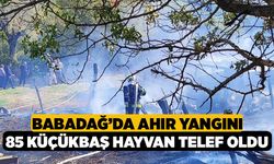 Babadağ'da Ahır Yangını 85 Küçükbaş Hayvan Telef Oldu