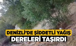 Denizli’de şiddetli yağış dereleri taşırdı