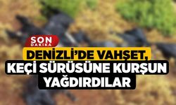 Denizli’de Vahşet, Keçi Sürüsüne Kurşun Yağdırdılar