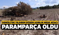 Denizli'de Yıldırım Düşen Asırlık Meşe Ağacı Paramparça Oldu