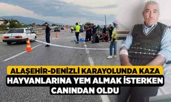 Hayvanlarına yem almak isterken canından oldu