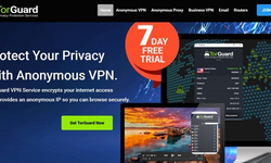 Torguard VPN İncelemesi