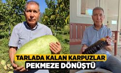 Tarlada Kalan Karpuzlar Pekmeze Dönüştü