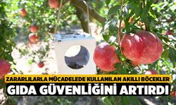 Zararlılarla mücadelede kullanılan akıllı böcekler gıda güvenliğini artırdı