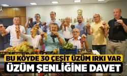 30 Çeşit Üzüm Irkı Bulunan Avşar'da Şenlik Var