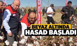 Beyaz Altında Hasad Başladı