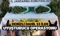 Denizli dahil 53 ilde uyuşturucu operasyonu