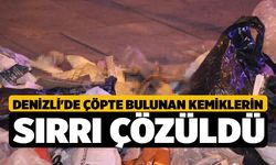 Denizli'de Çöpte Bulunan Kemiklerin Sırrı Çözüldü