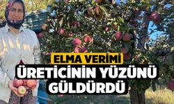 Denizli'de Elma Verimi Üreticinin Yüzünü Güldürdü