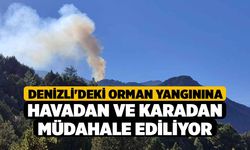 Denizli'deki orman yangınına havadan ve karadan müdahale ediliyor