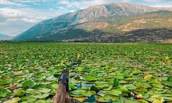 Denizli’nin Nilüferlerle Kaplı Işıklı Gölü Sonbaharda Bir Başka Güzel